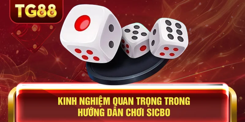 Kinh Nghiệm Quan Trọng Trong Hướng Dẫn Chơi Sicbo