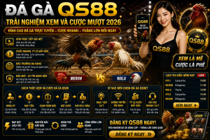 Đá Gà Qs88 – Trải Nghiệm Xem Và Cược Mượt 2026